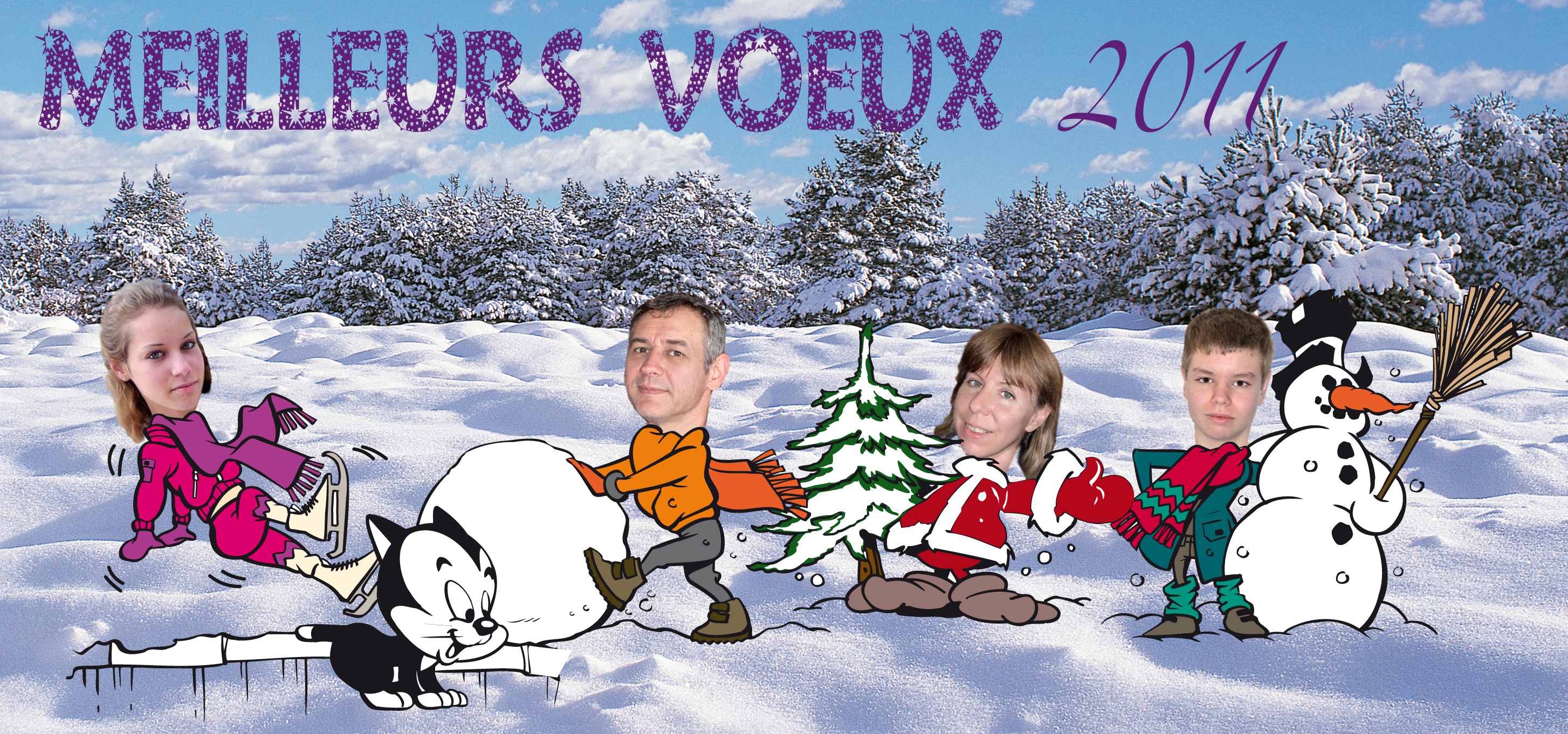 Voeux 2011