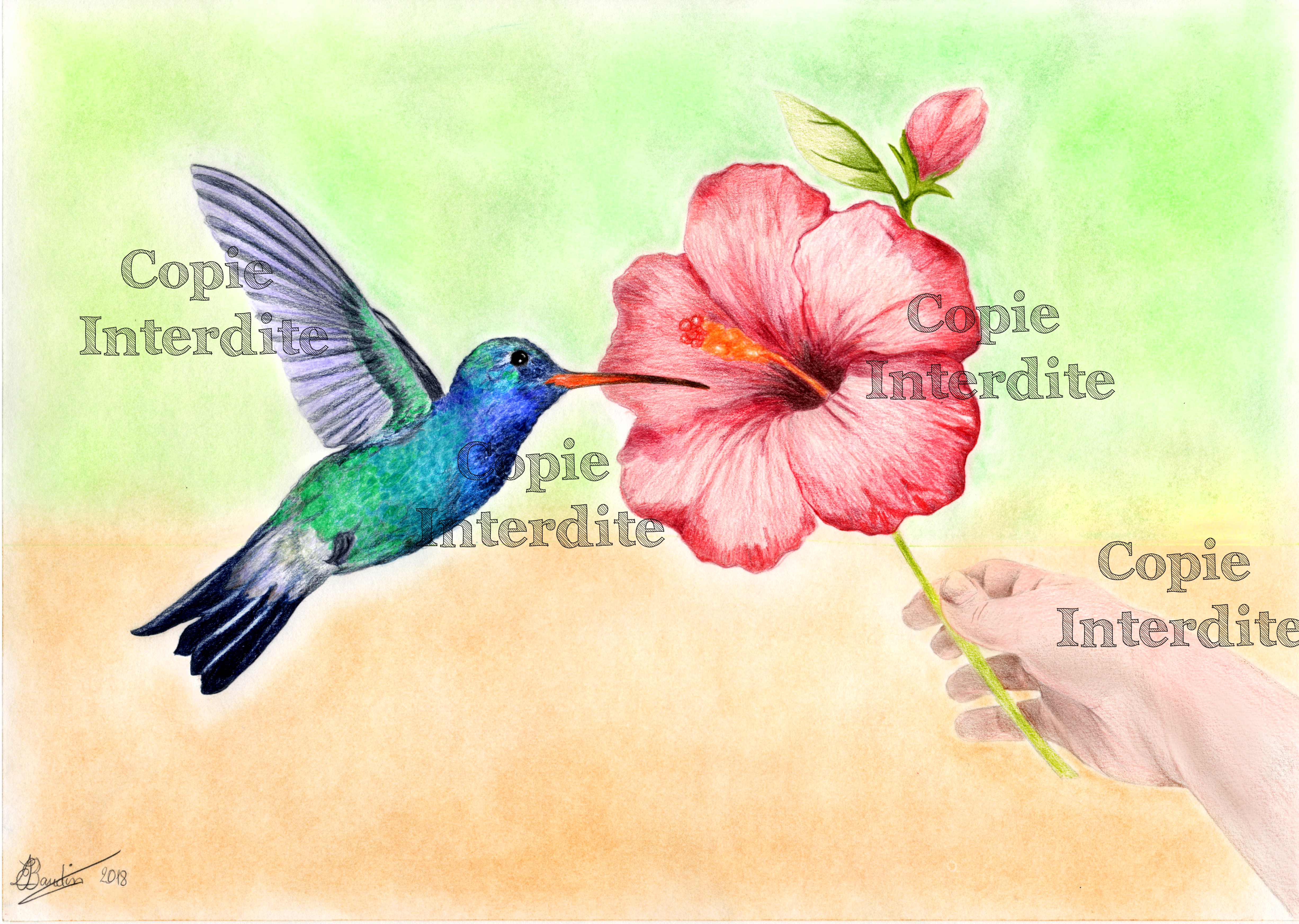 couleurs nature