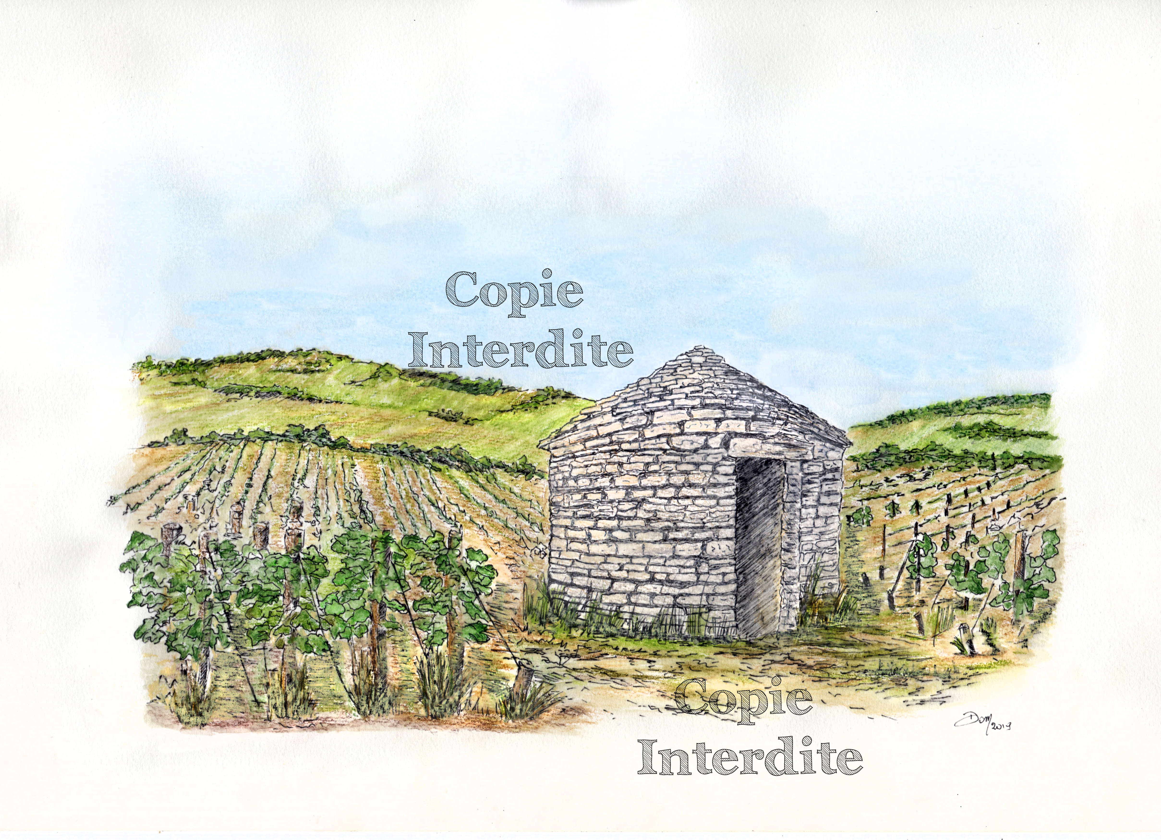 Cabotte dans les vignes