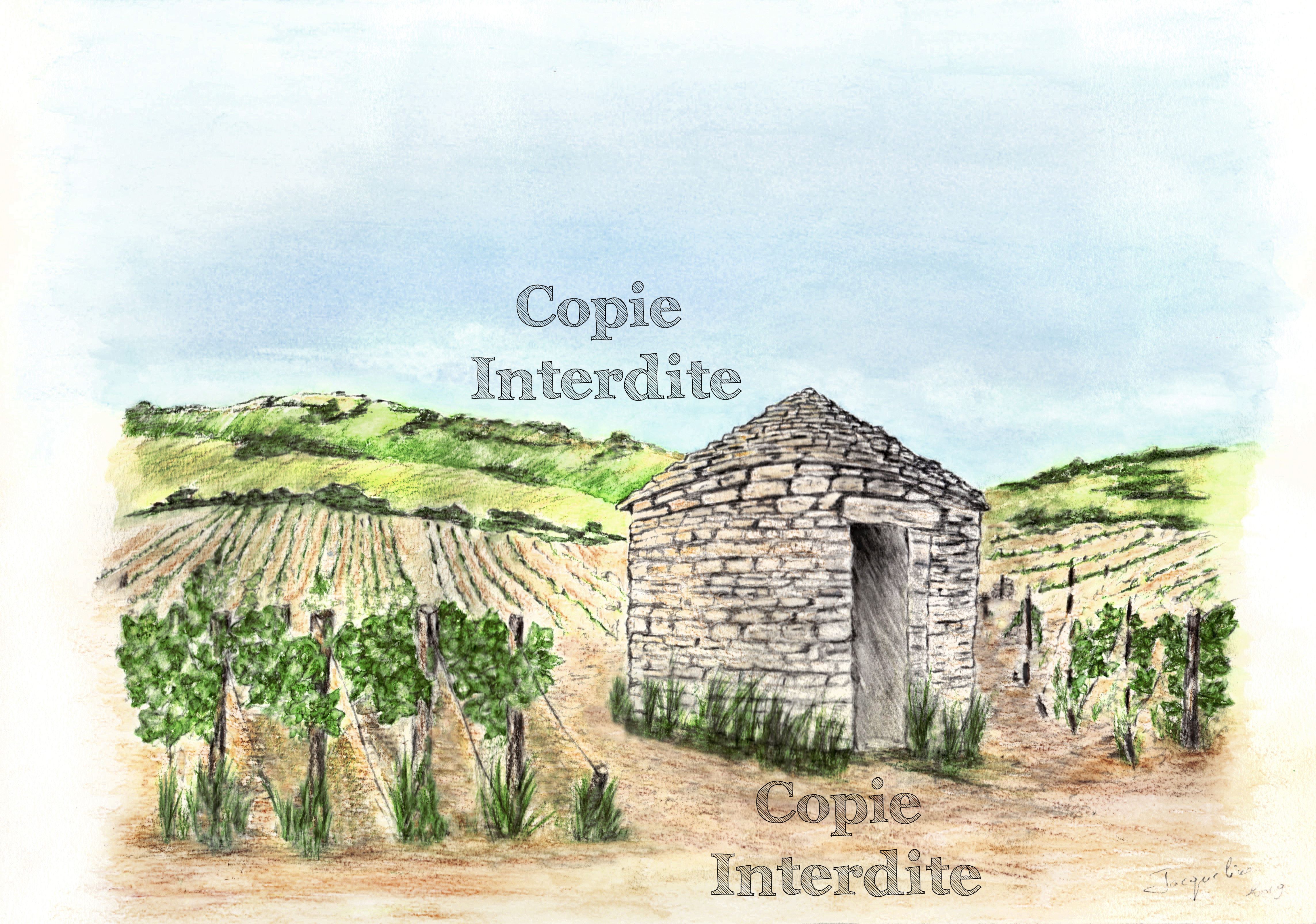 cabotte n°2 dans les vignes