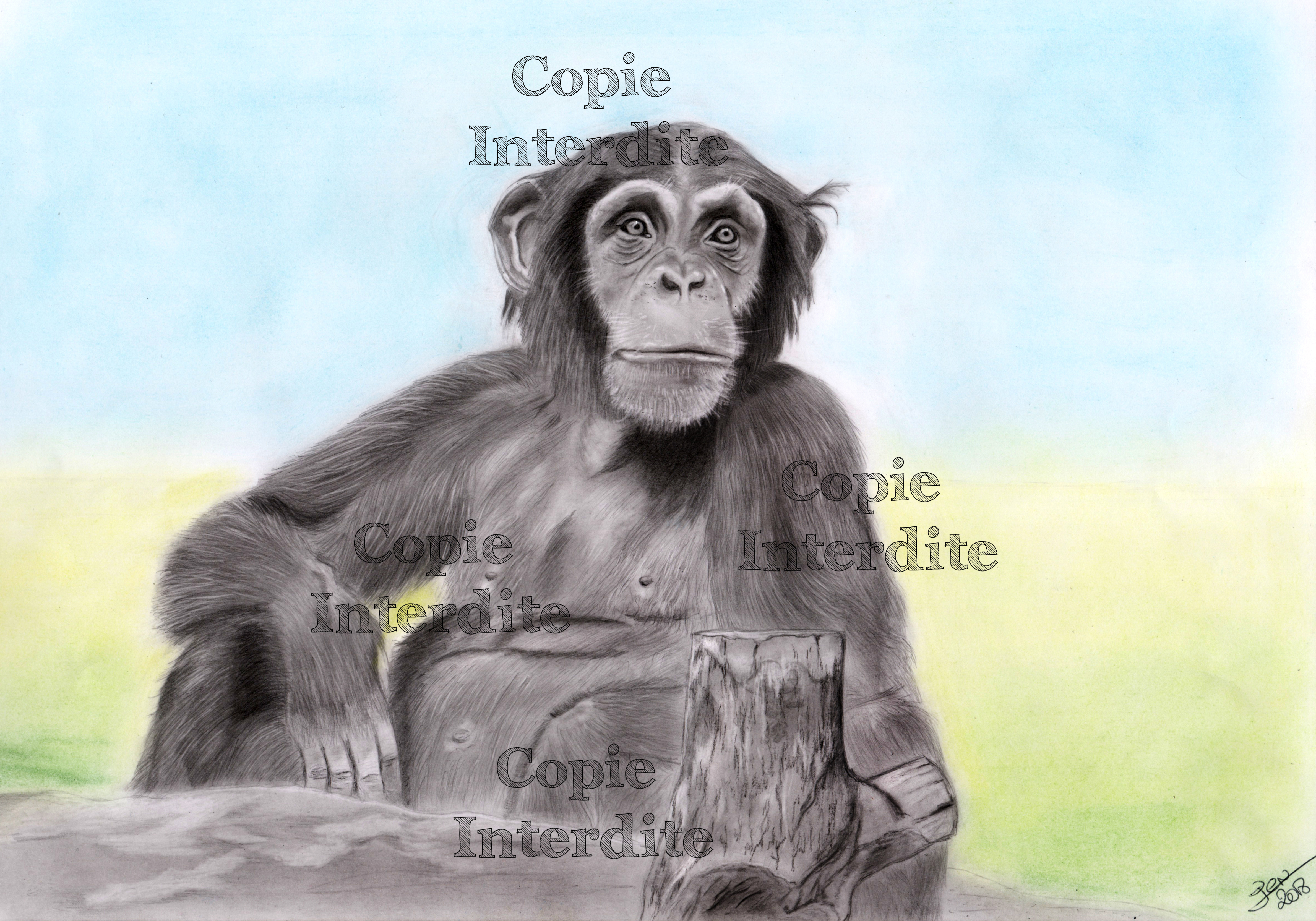 Singe pensant