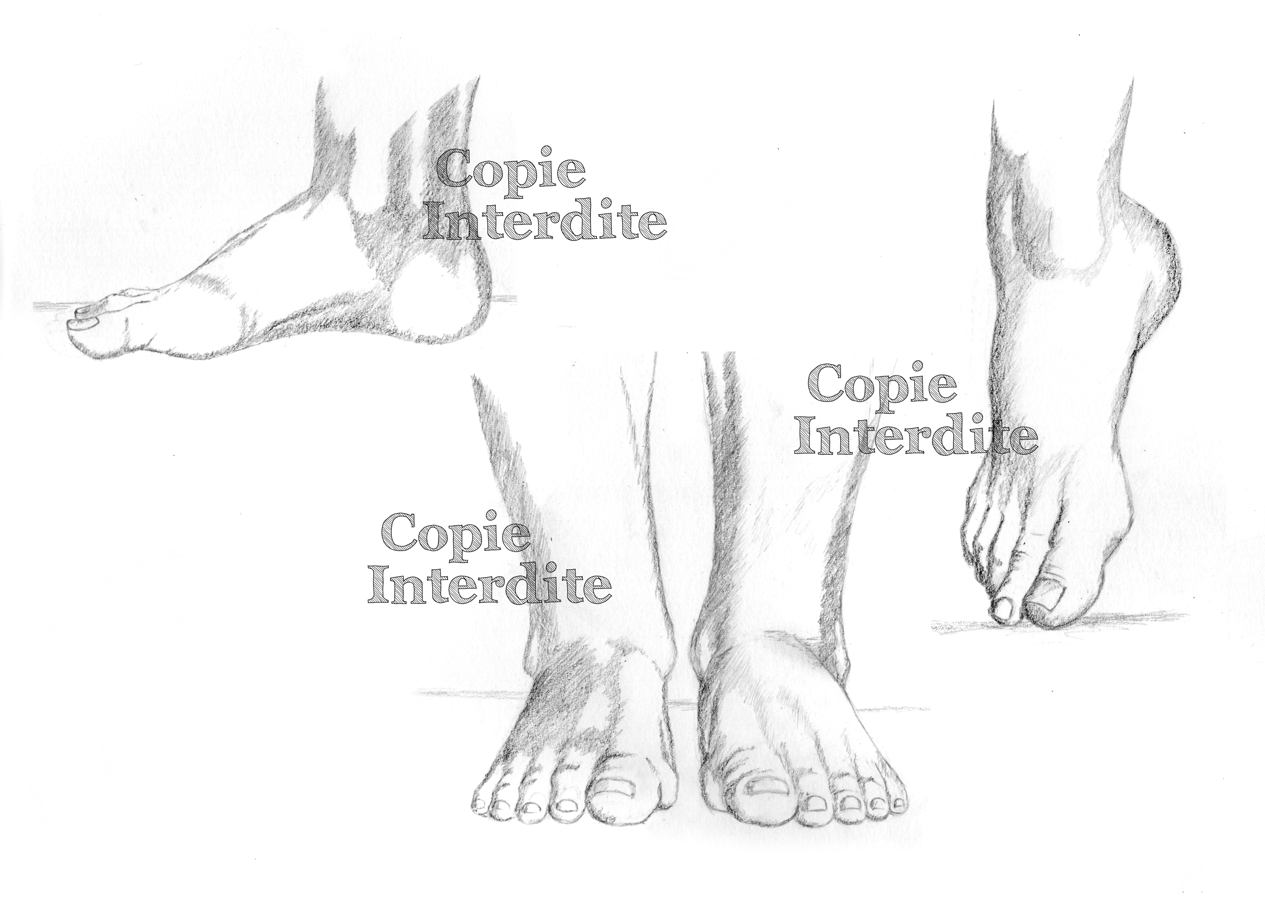 étude pieds (suite)