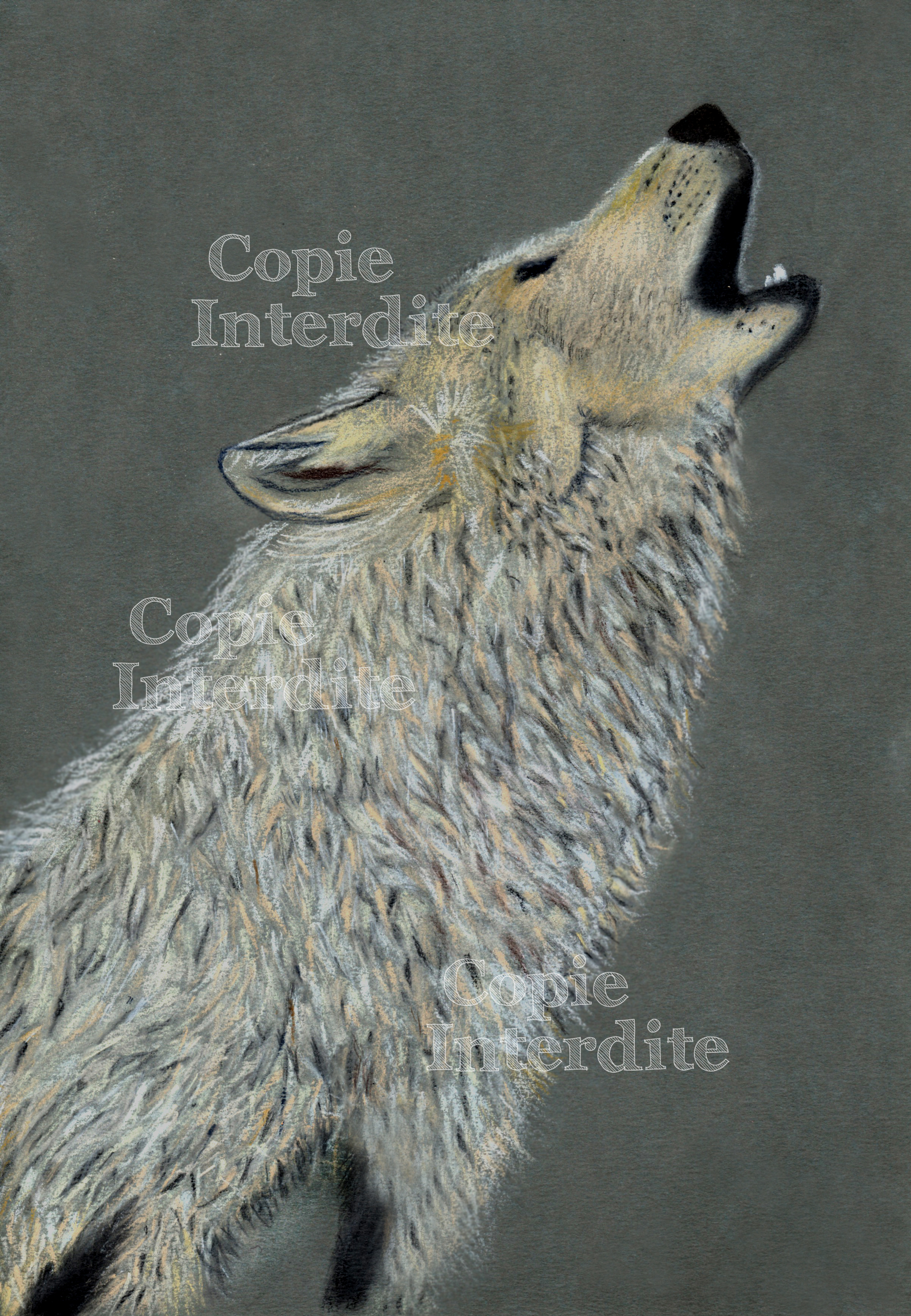 L'appel du loup