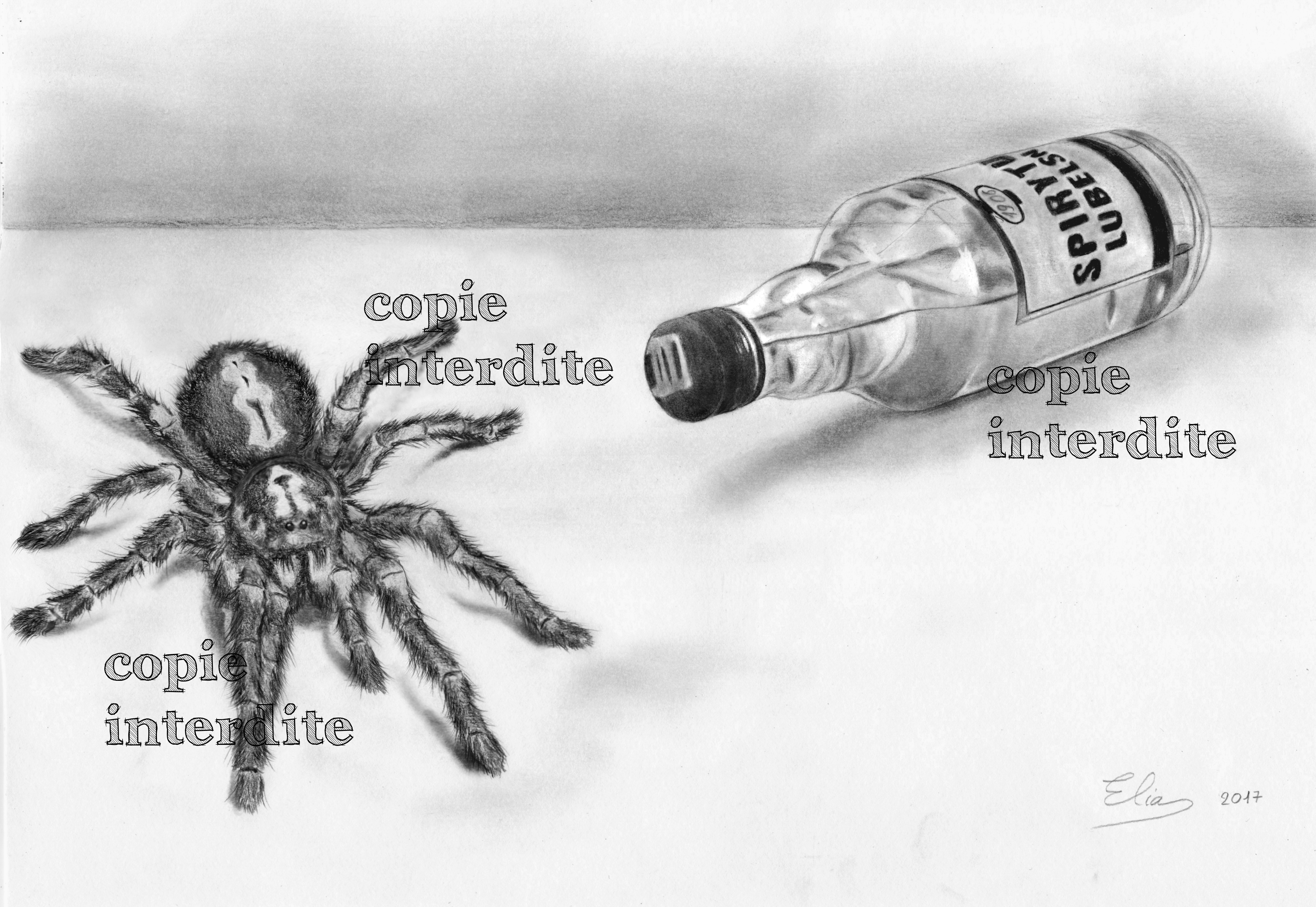 Vodka et Mygale