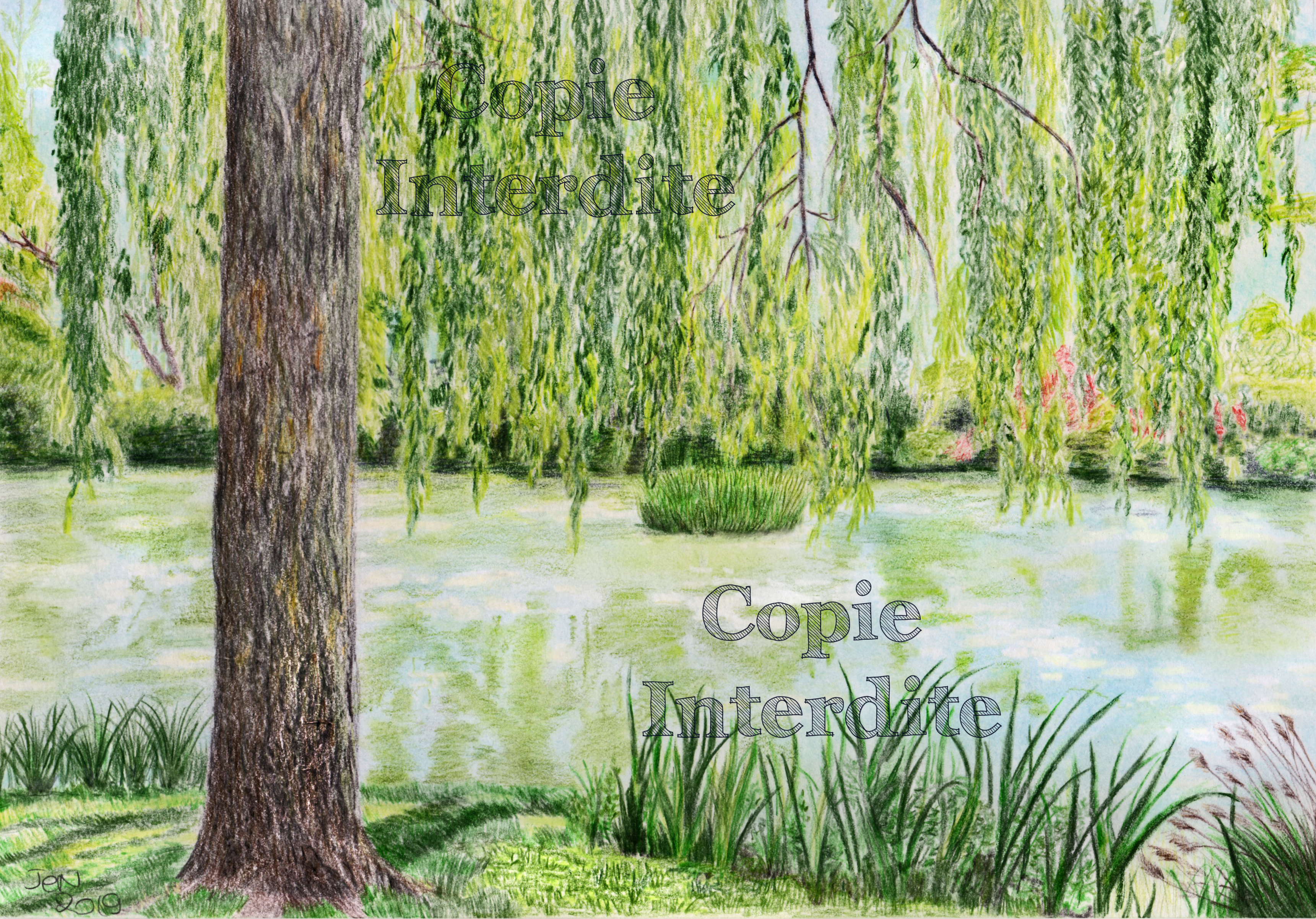 Sous le saule