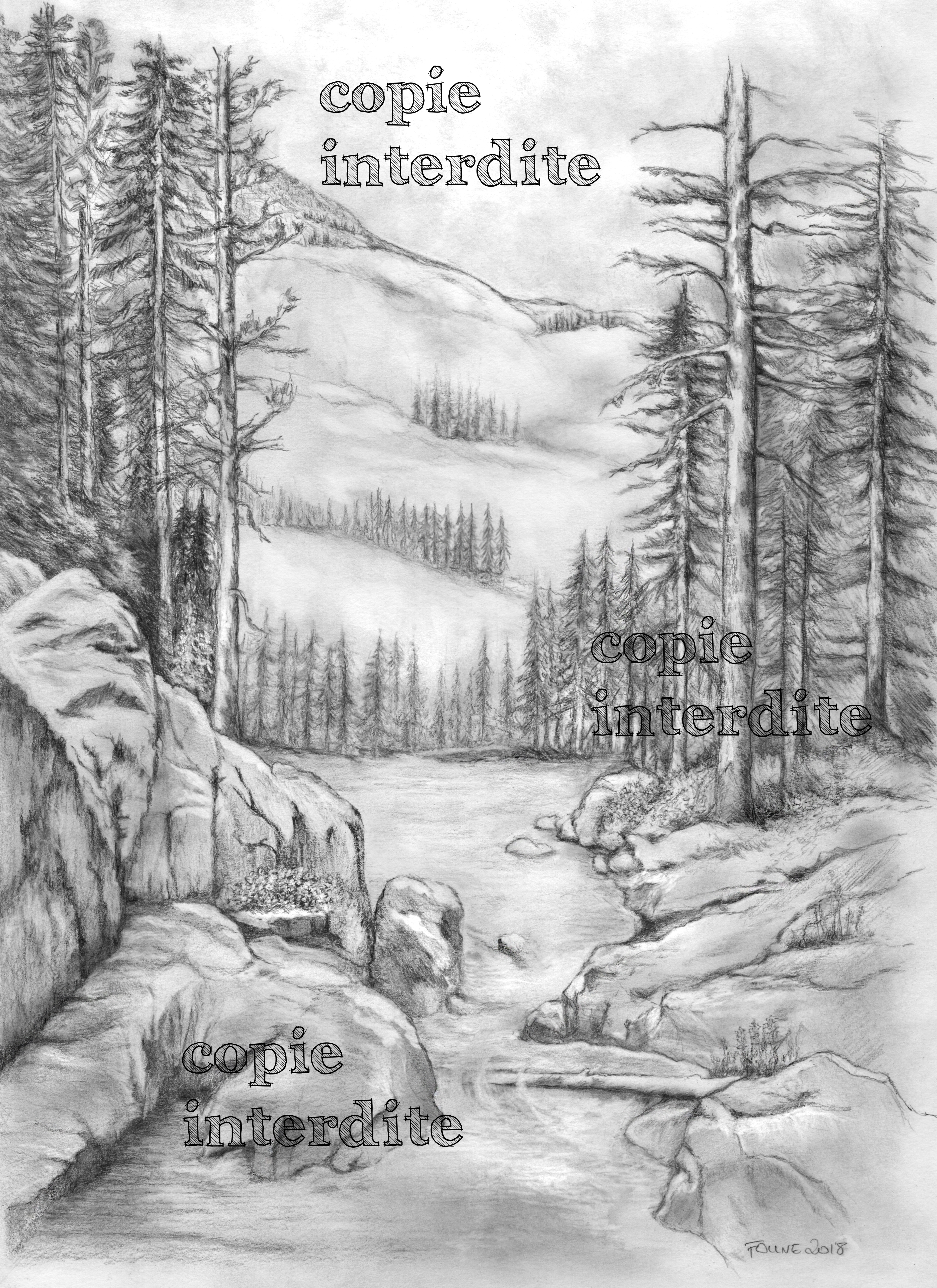 Paysage de montagne