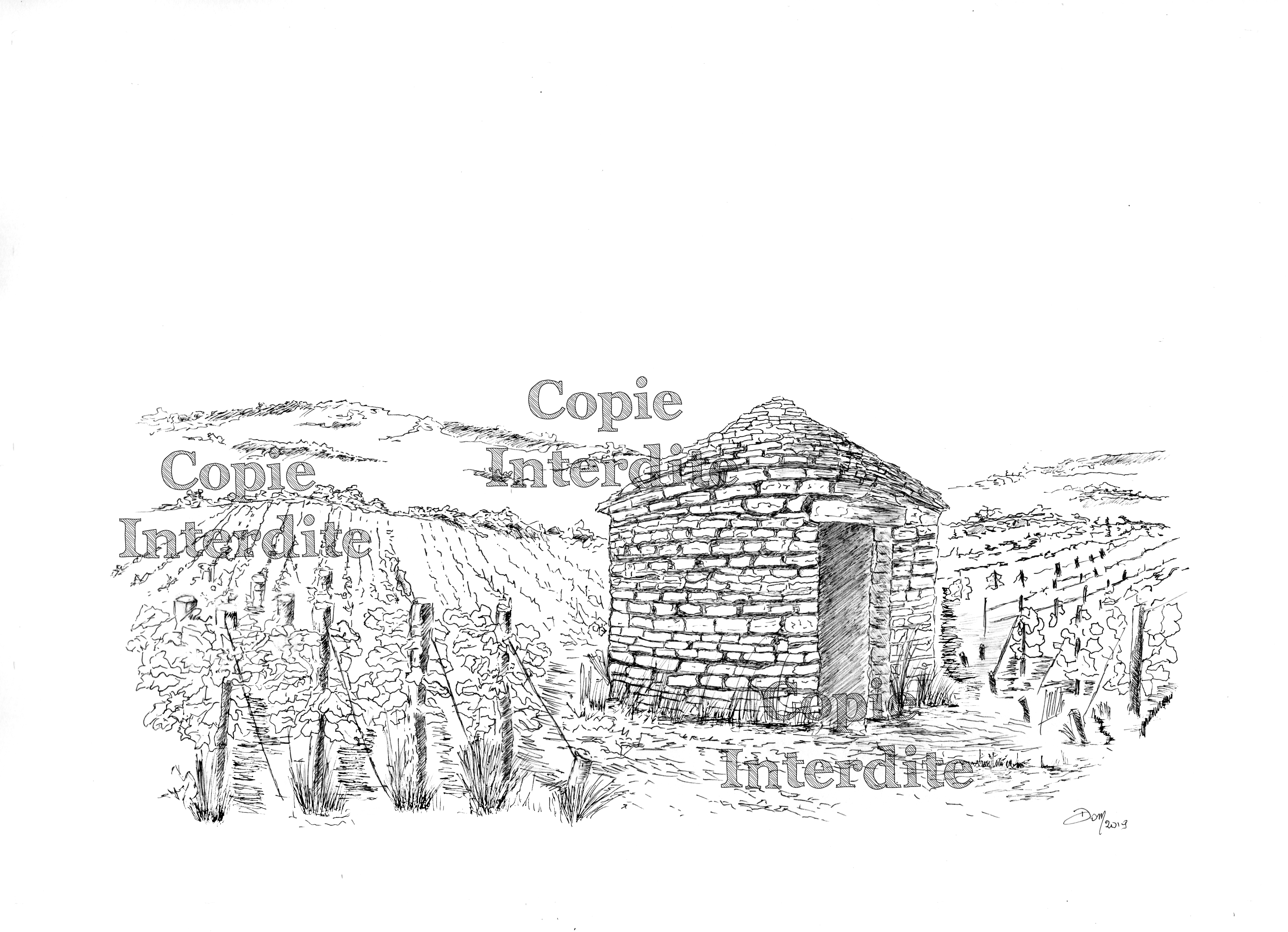 Croquis dans les vignes