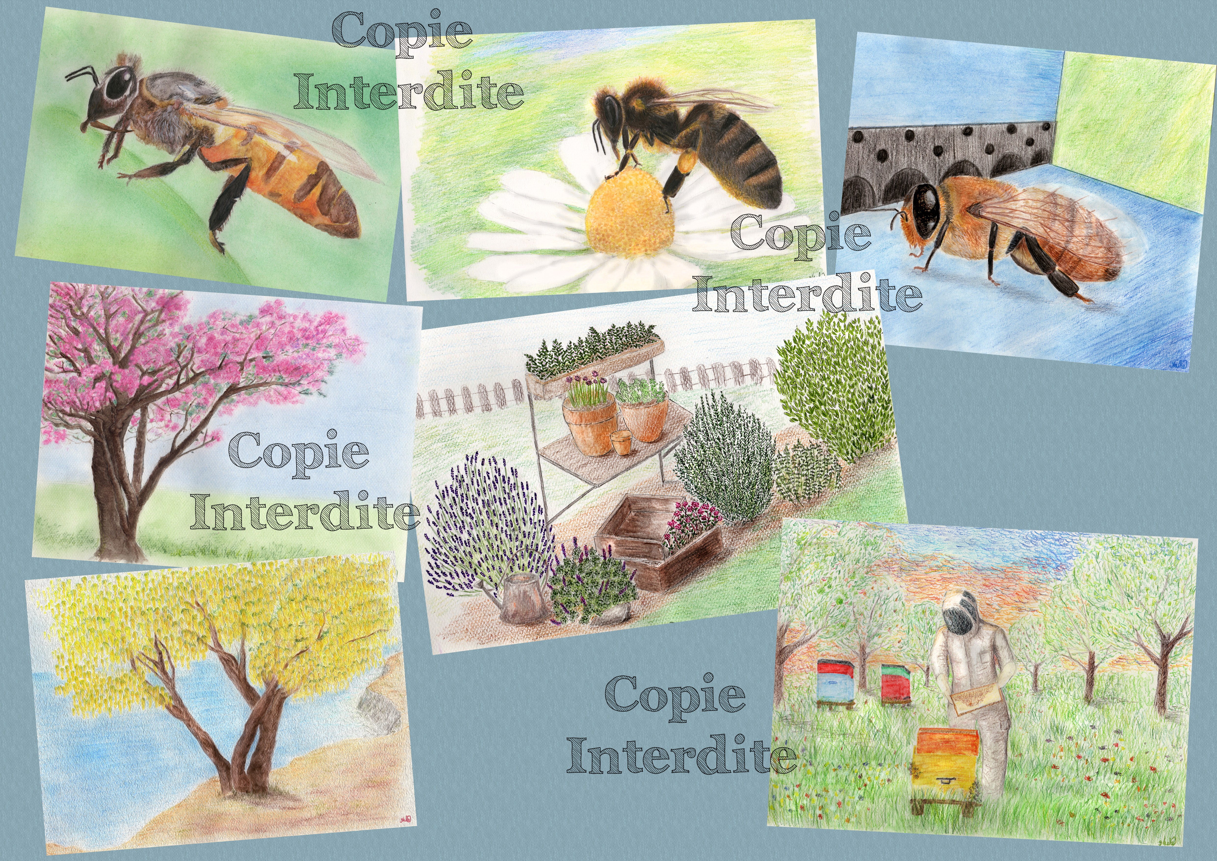 Nature et abeilles