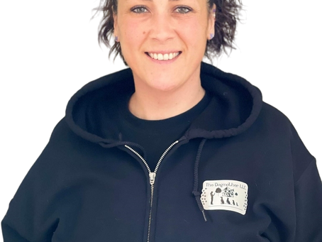 The Inspiring Journey of Melissa Guevin and The Dogmother LLC in Peabody