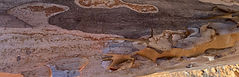 bark slip.JPG
