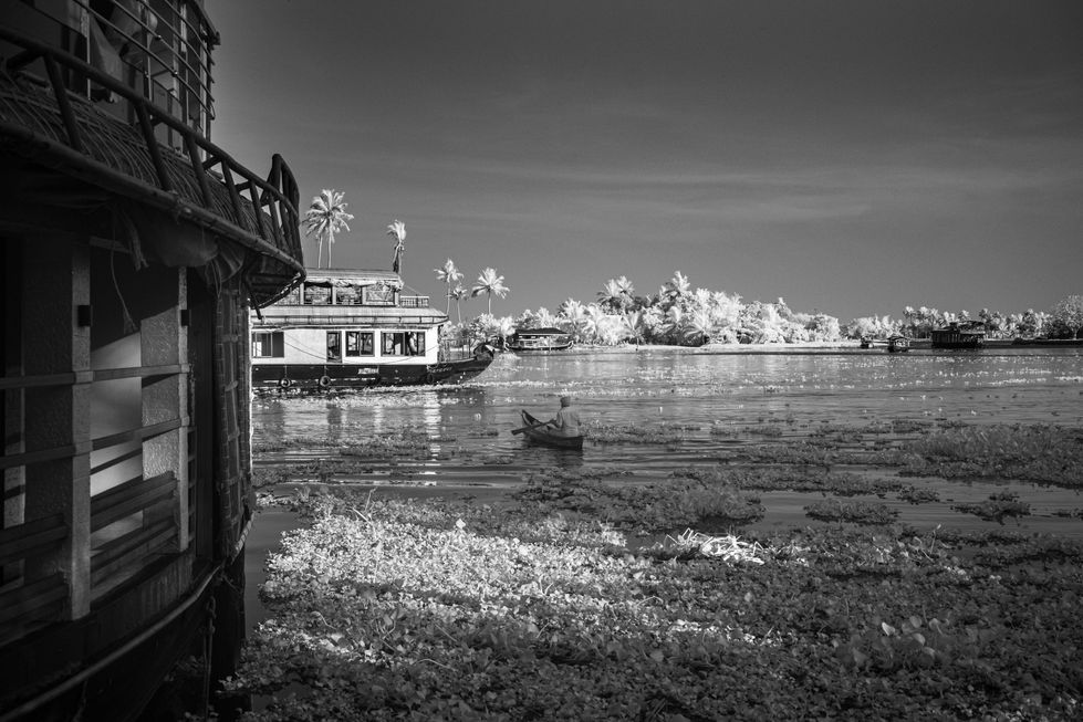 DSCF9512.jpg