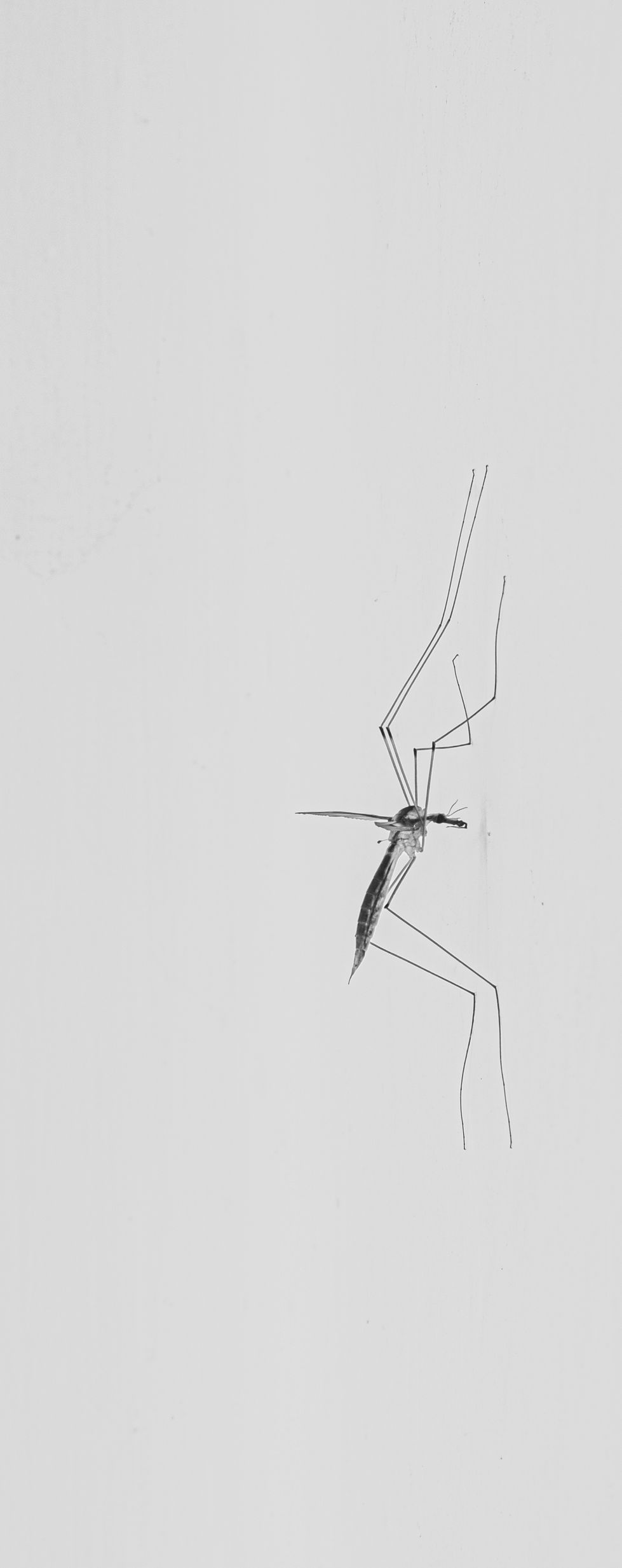 DSCF8767.jpg