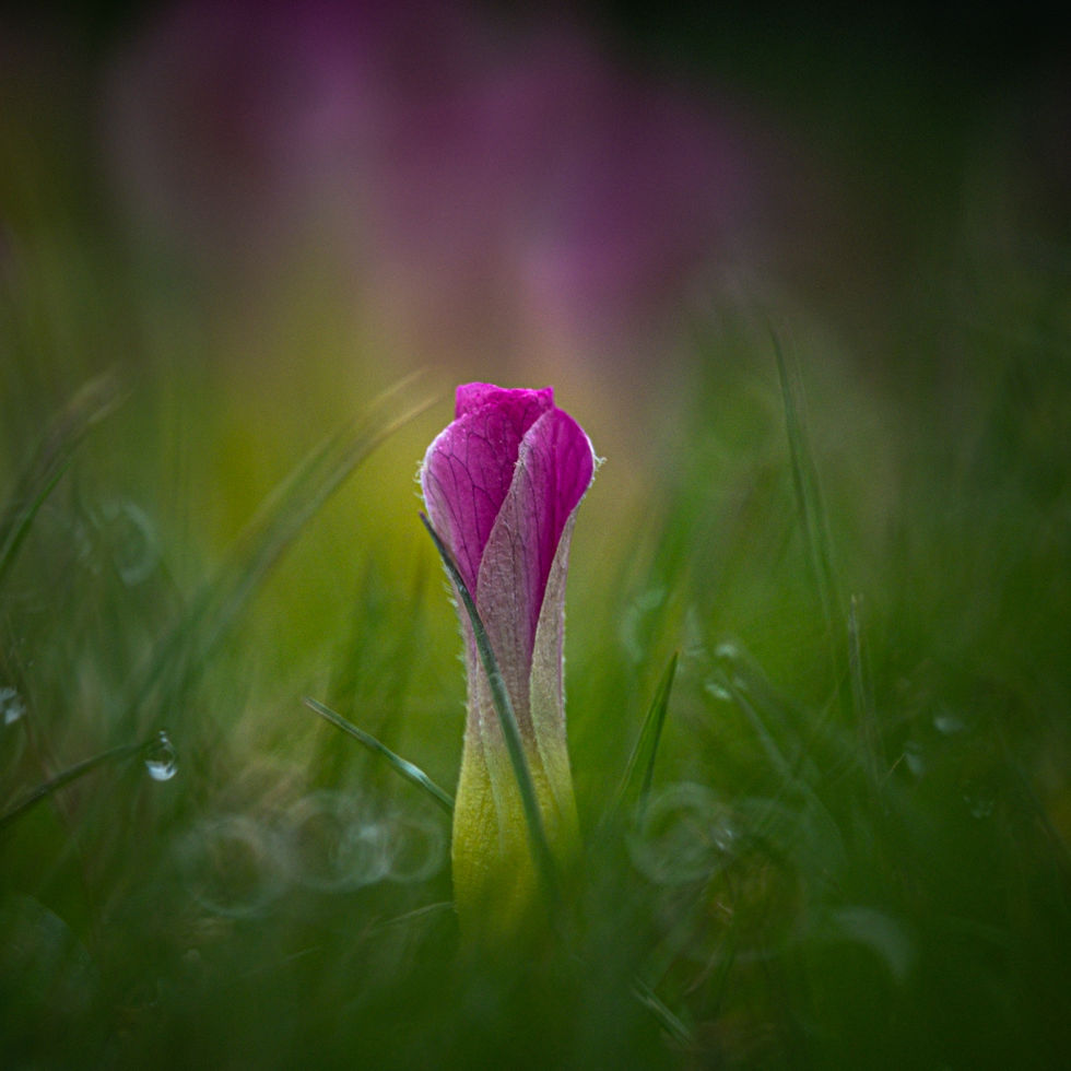 DSCF9588.jpg