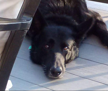 Screenshot_20210121-152110_Facebook_edit
