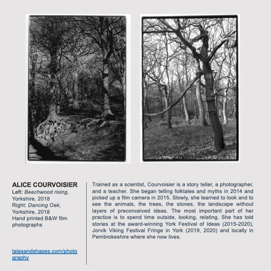 Mythical Woods Catalogue Alice Courvoisier.jpeg