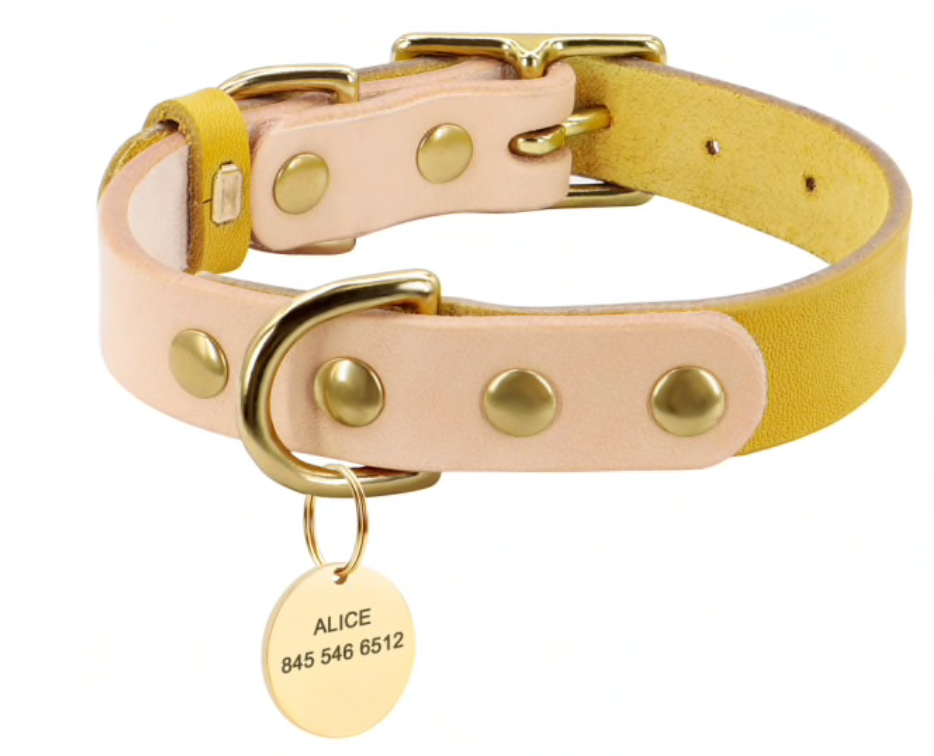 Small Leather Two Tone Collar with Gold Hardware