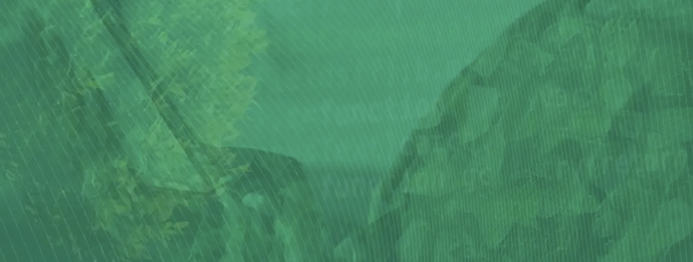NTC-BanerBkg.png
