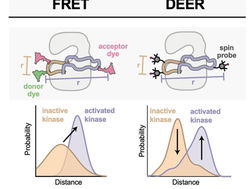 Zach's review is published in Biochemical Society Transactions