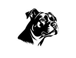 Untitled design (79)_edited.png