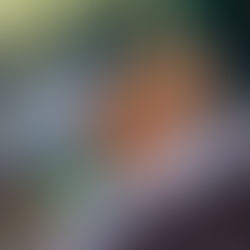 FEATURED POST: The Healing Powers of Selenite 