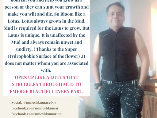BLOOM LIKE A LOTUS 