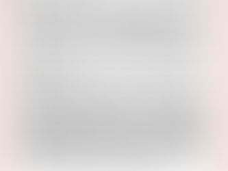 NO DIFFERENCE BETWEEN PERSONAL AND CORPORATE WORK