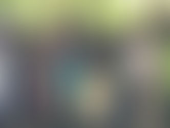 Compte-rendu de la mission de Mai 2015