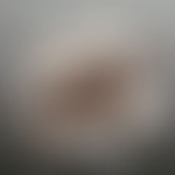 Alıştırmalık lezzet topları