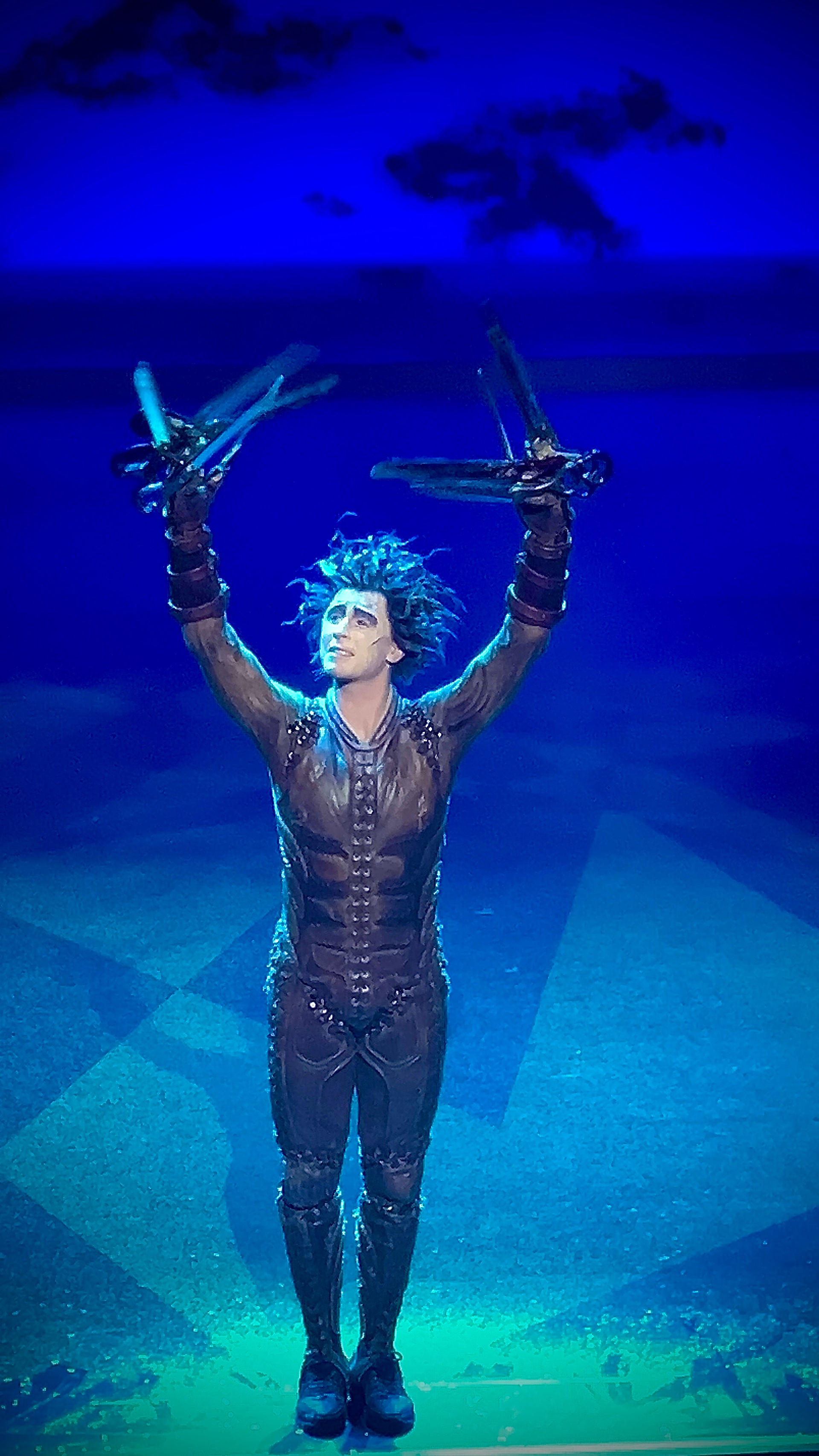 Edward Scissorhands Theatre