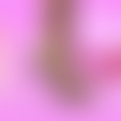 REVIEW: Dizney In Drag - Once Upon A Parody | Edinburgh Festival Fringe 2023