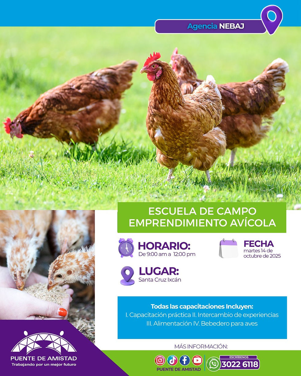 Escuela de campo emprendimiento avícola