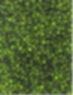 Green Dots
