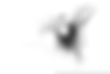 idp_23_httpss.mj_edited.png