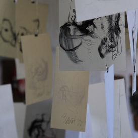 B3B90228-3D86-4E3B-AE9B-08ADC56075DA_1_105_c.jpeg