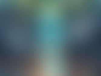 FEEDING 20  FAMILIES OR 250 PEOPLE FOR $100