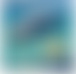 Does luxury teaches anything?