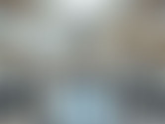 Integrity of Type I Leader