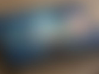 Mystery Behind The Mona Lisa