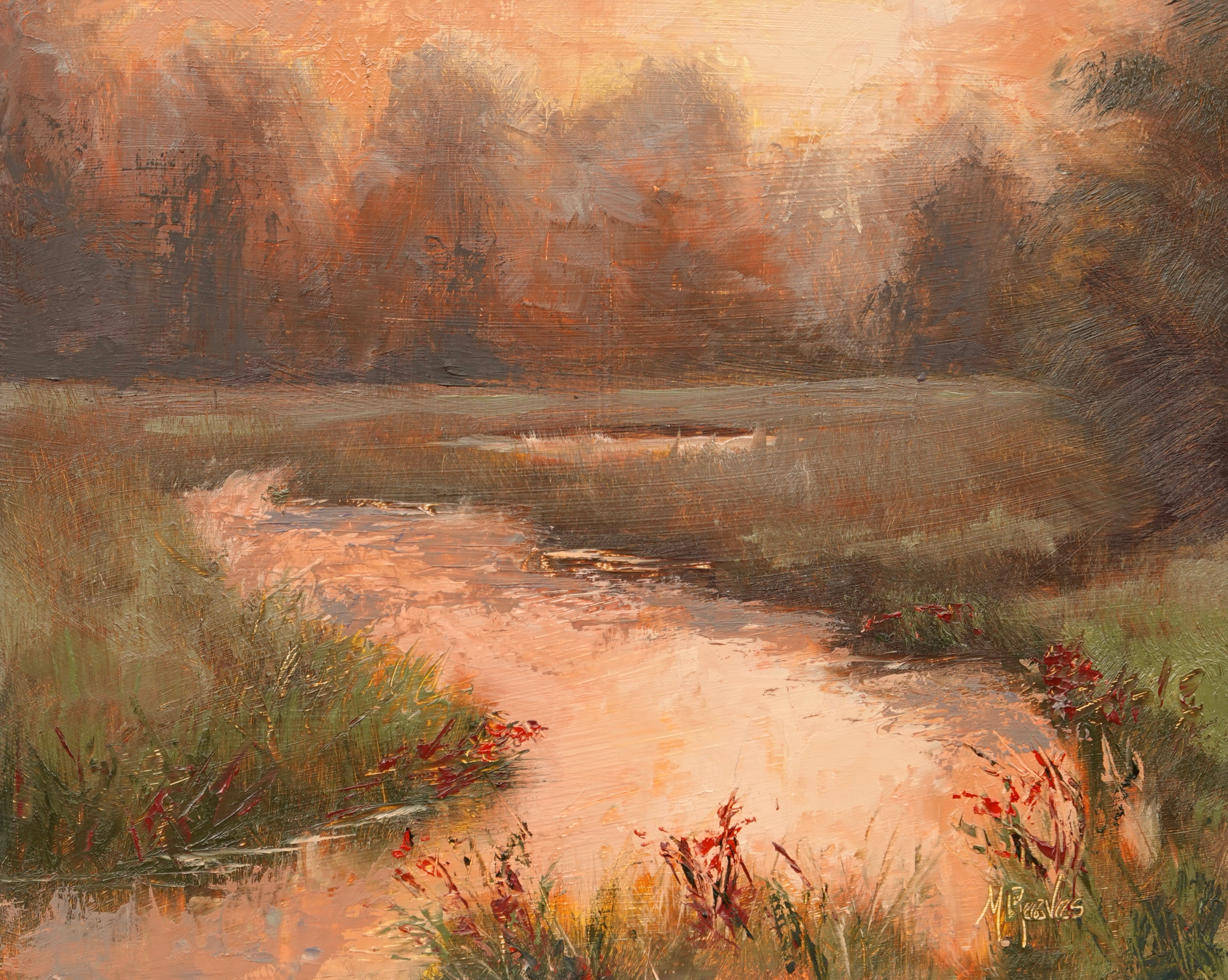 Soft Morning Light