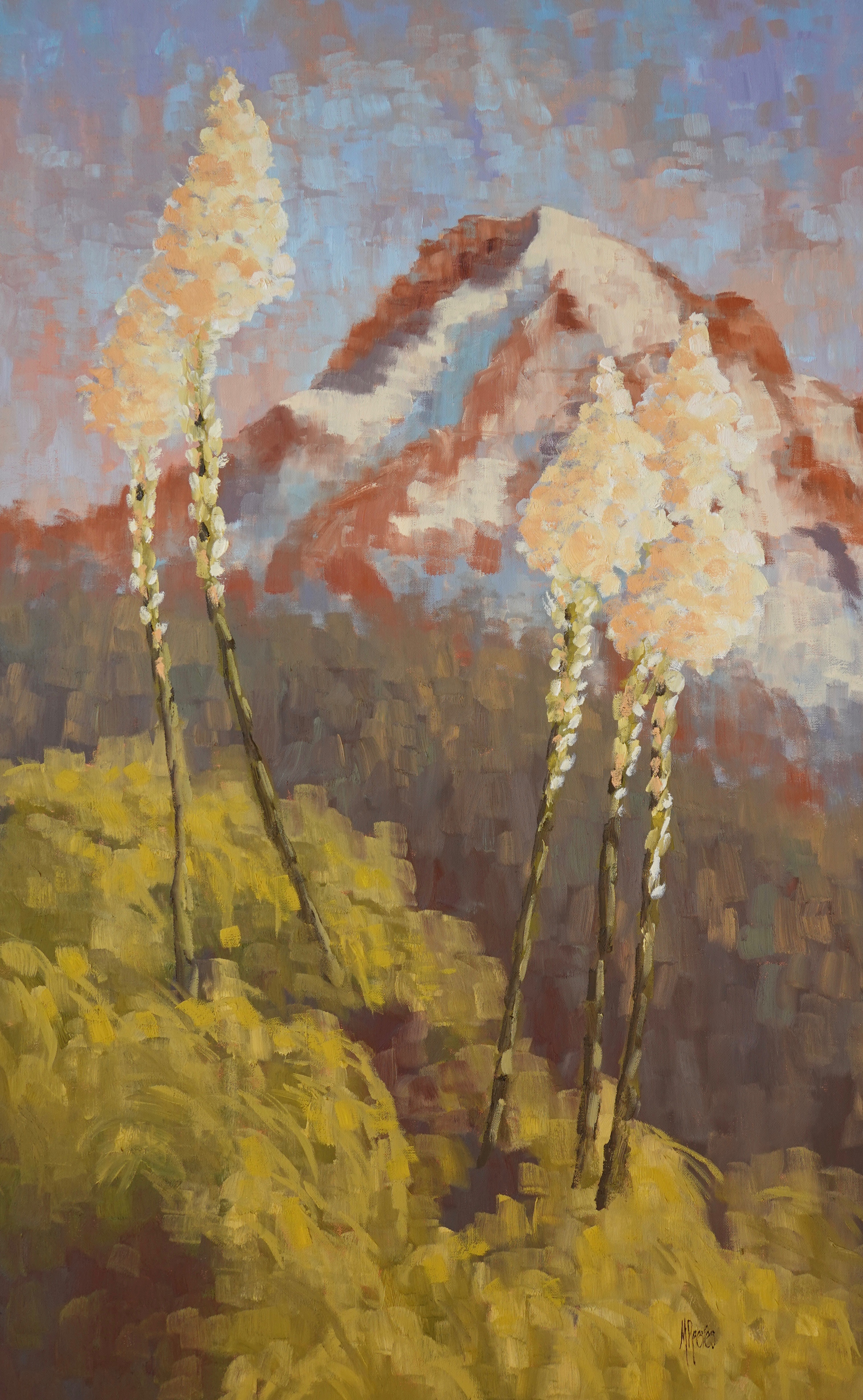 Bear Grass