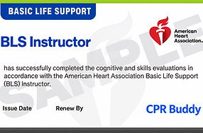 Sample American Heart Association BLS Instructor eCard issued through CPR Buddy for certified instructors serving Brandon, Florida.