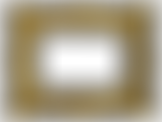 Rescue & Adopt a Frame from Landfill!