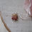 Miniature : Guirlande clochettes