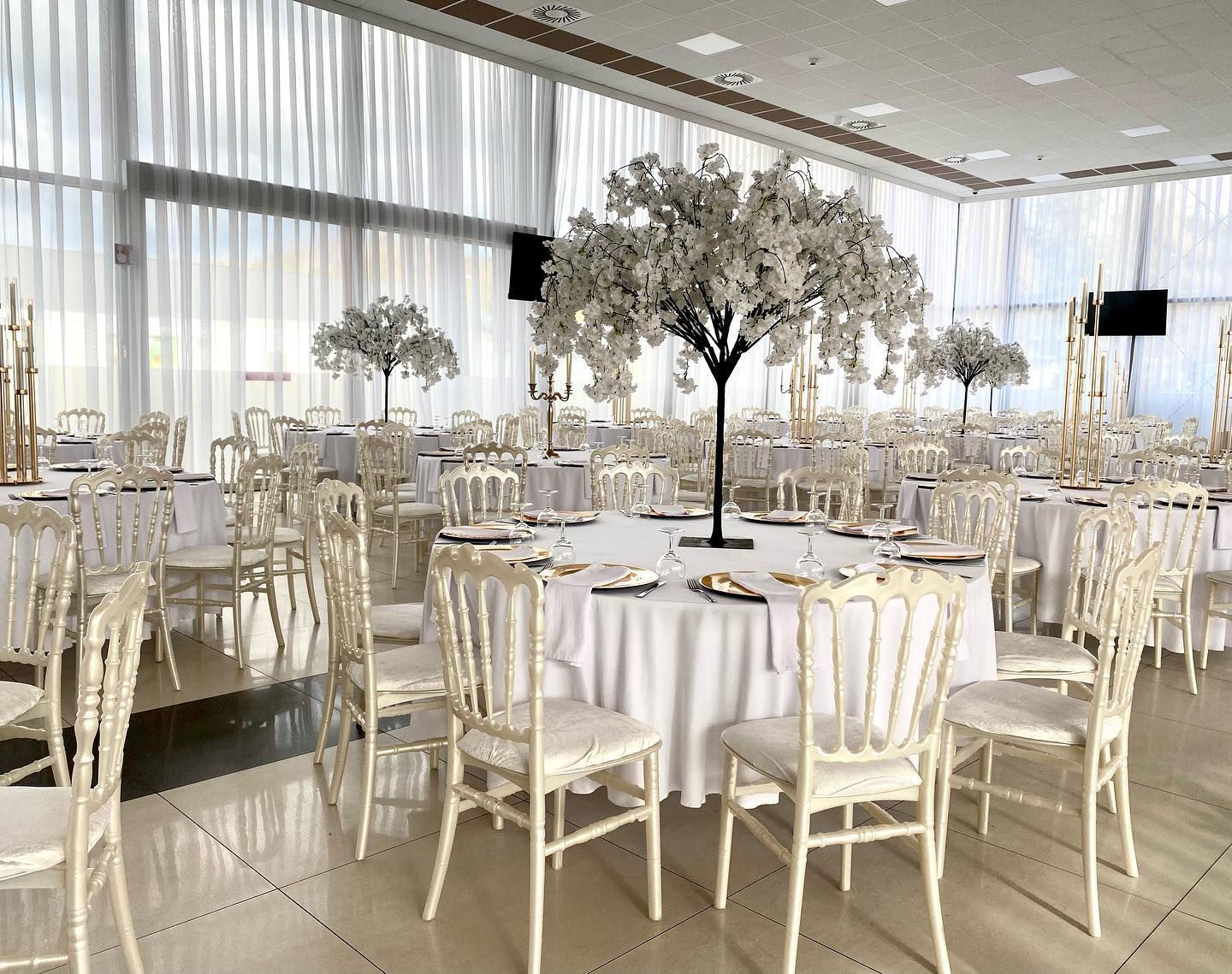 Kirschblütenbaum Weiss 1,3m