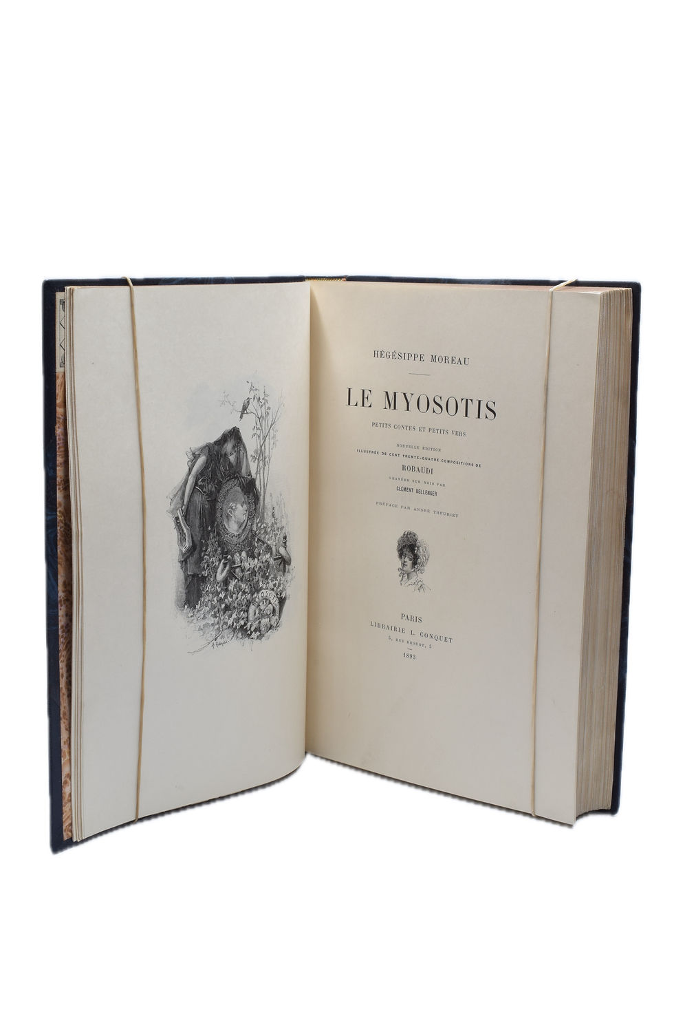 Miniature : Hégesippe MOREAU - Le myosotis