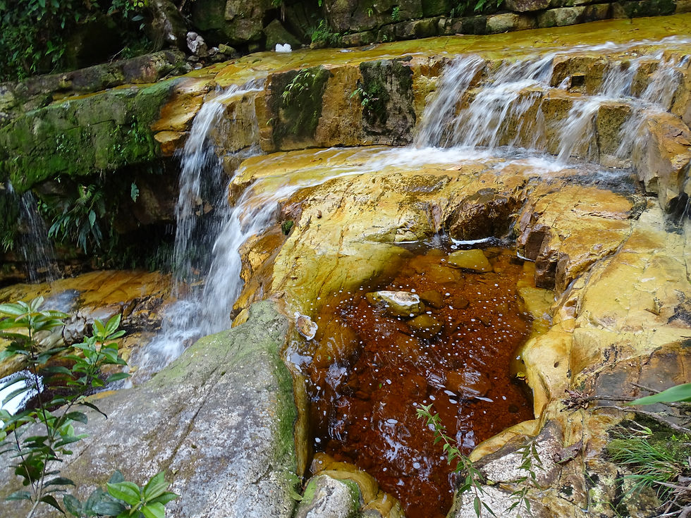 Cascadas