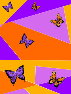 Butterfly Color Block