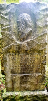 Alison Cameron