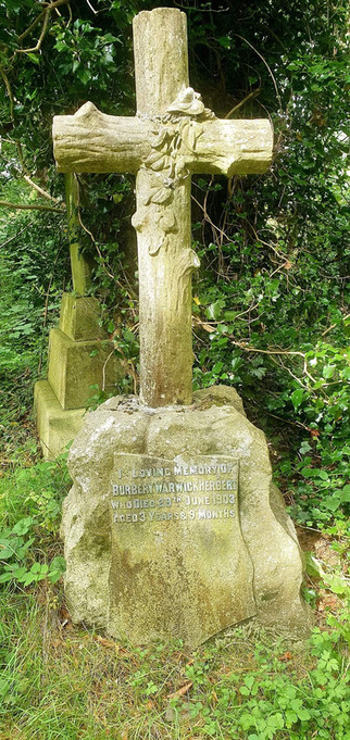 Alison Cameron