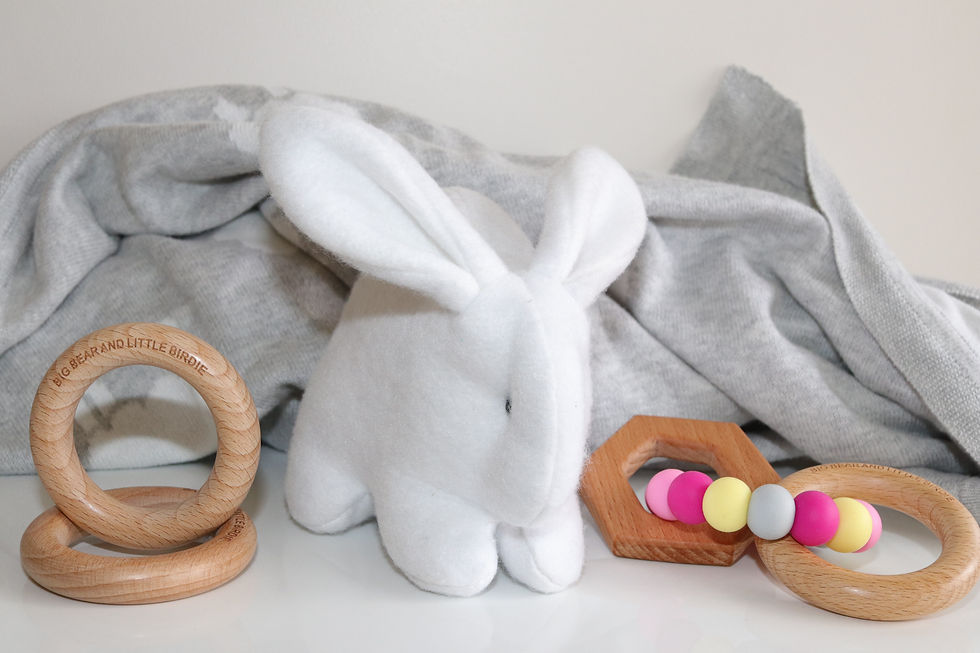 Thumbnail: Gorgeous Soft Toy Bunnies